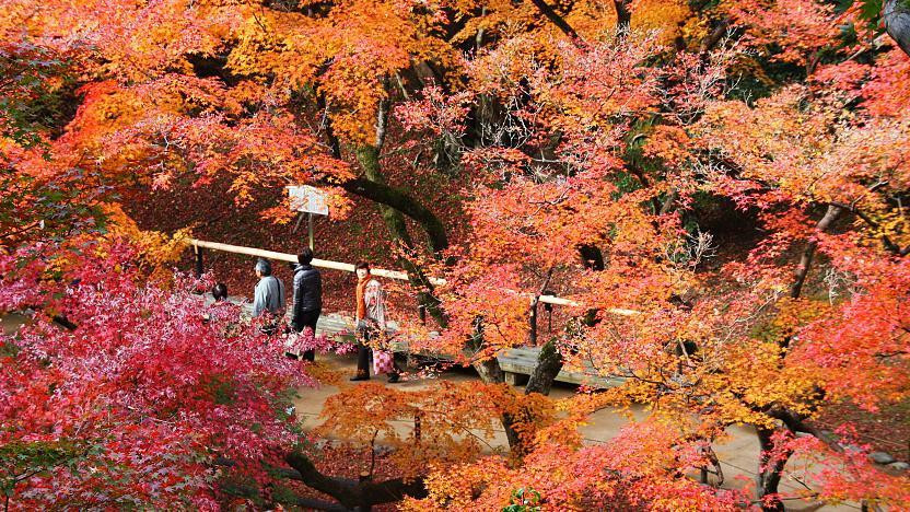 北野天滿宮