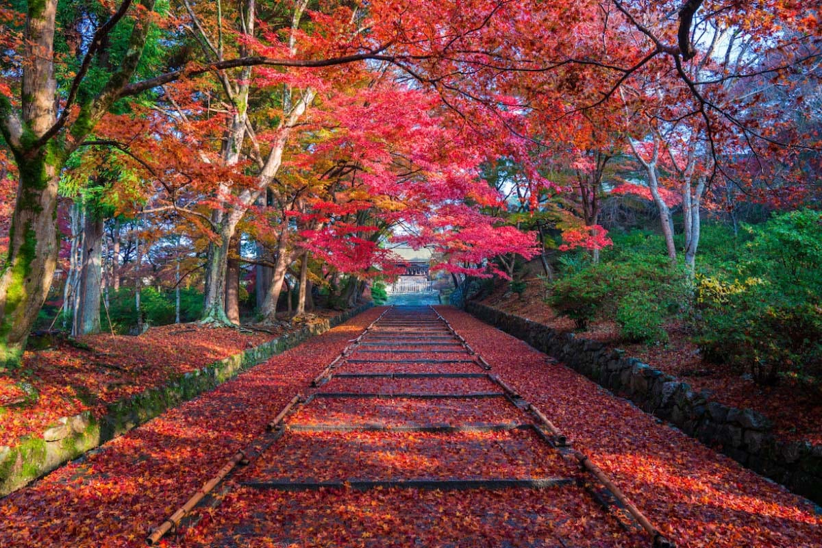 毘沙門堂門跡