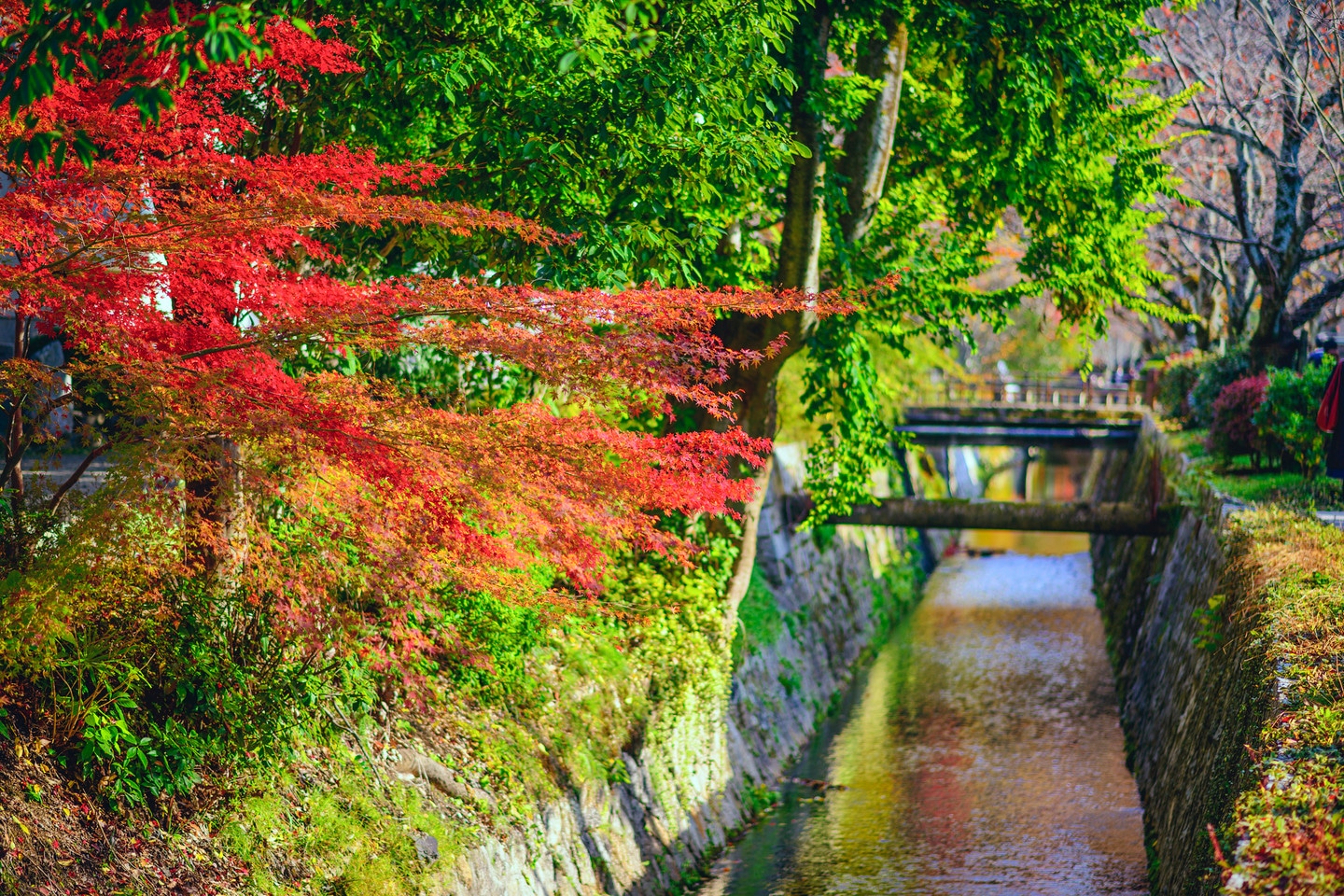 哲學之道