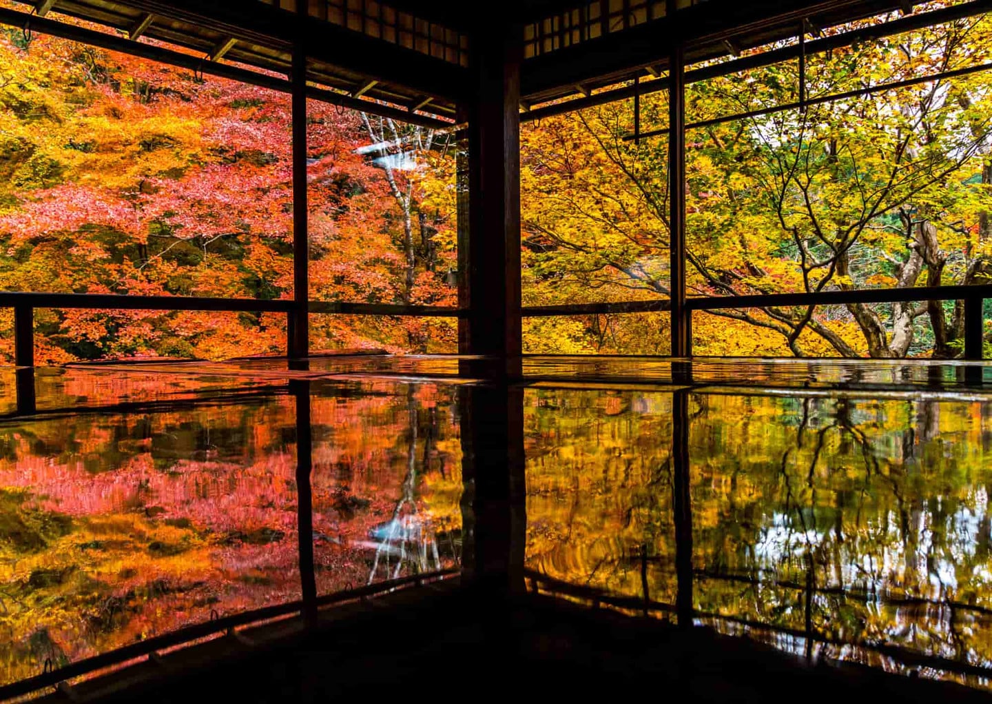 瑠璃光院