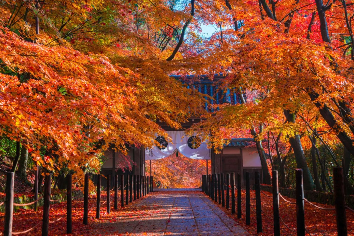 貴船神社