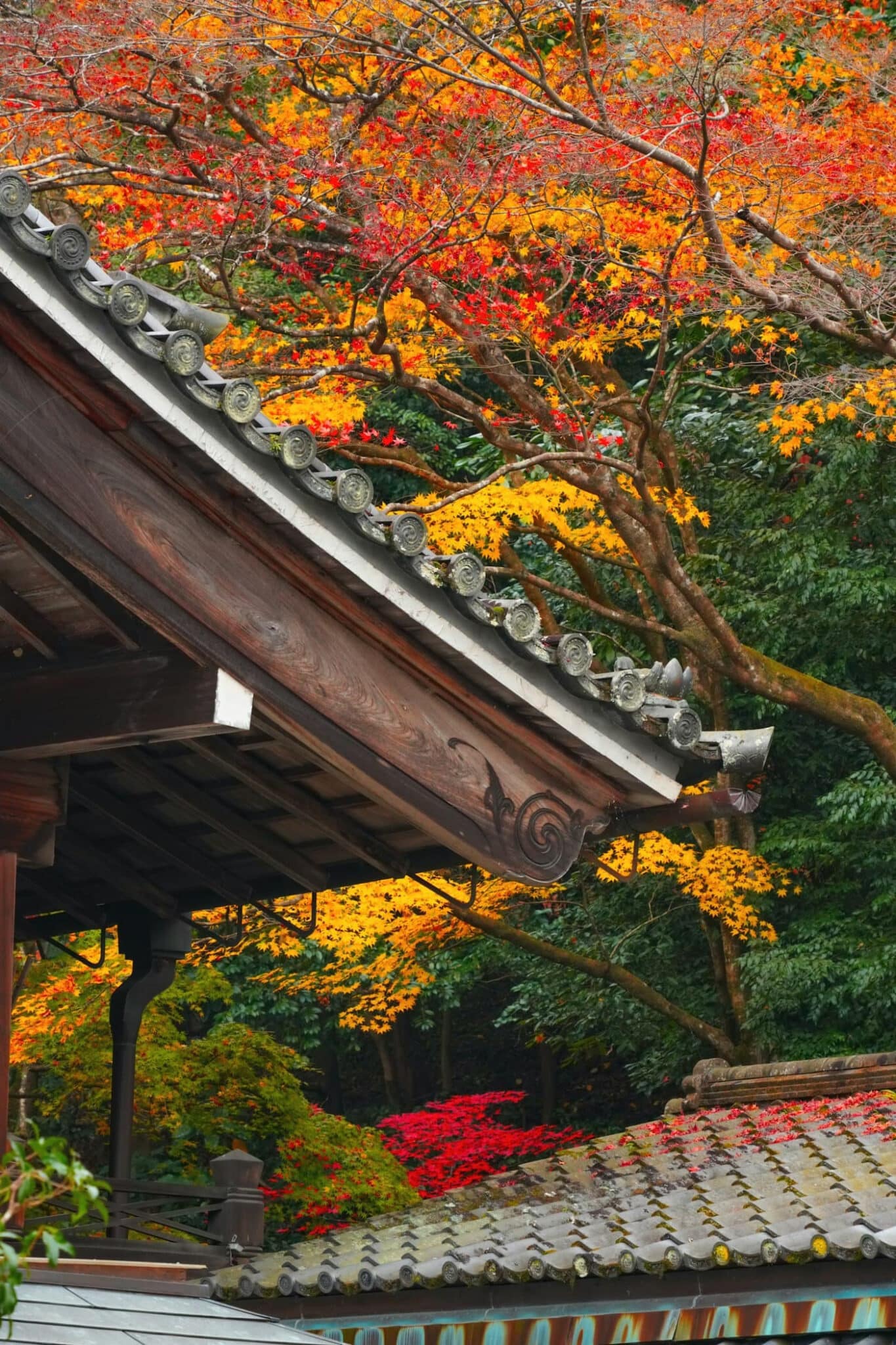 神護寺(高雄)