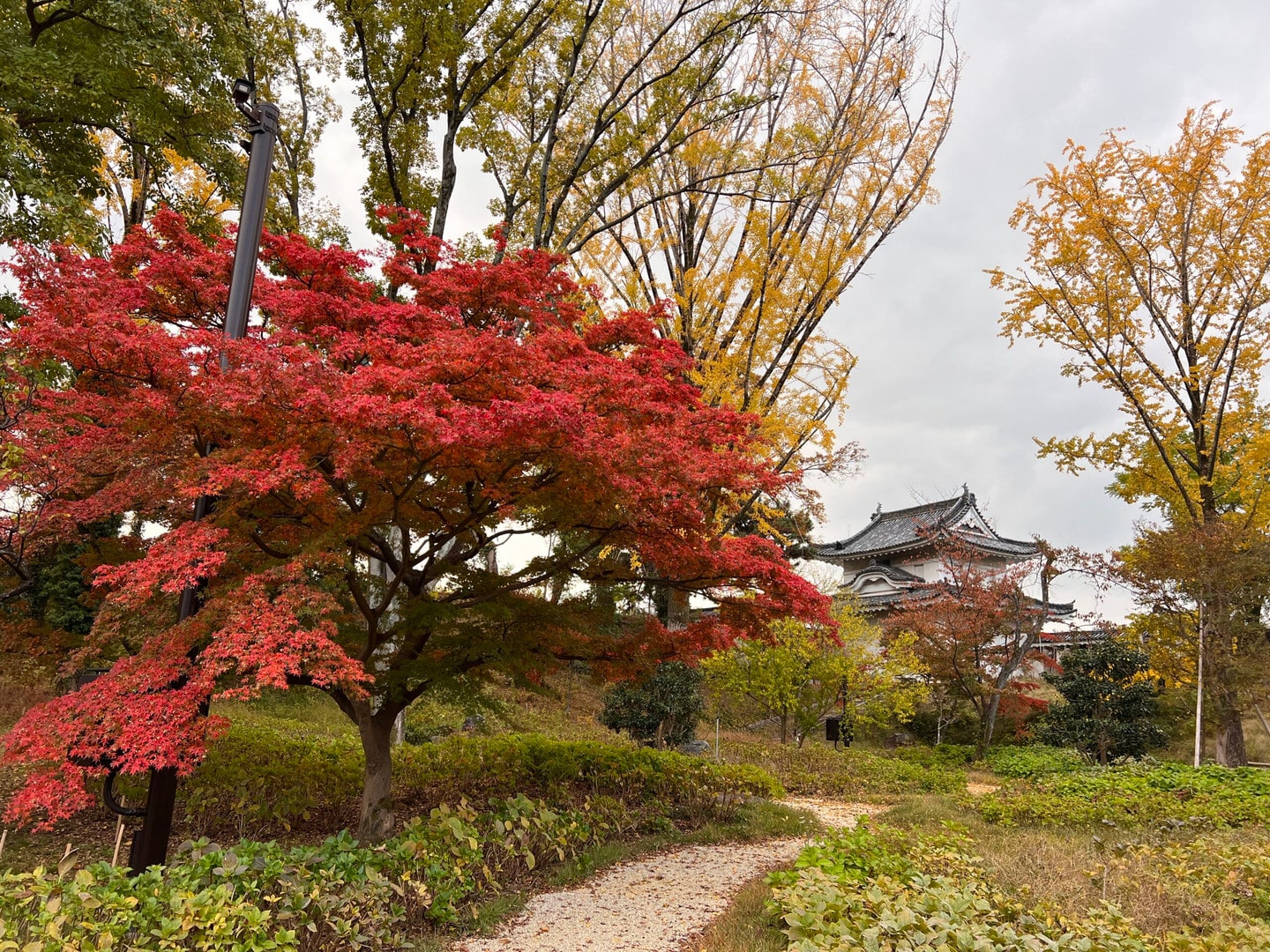 二條城