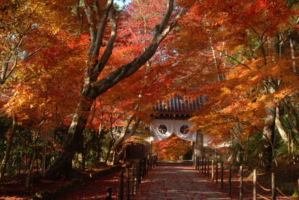 光明寺