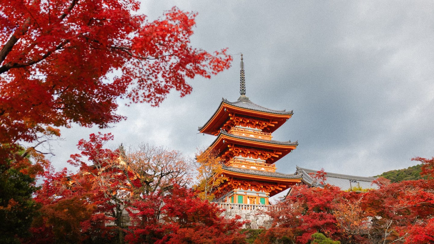 清水寺賞楓、賞櫻最佳景致