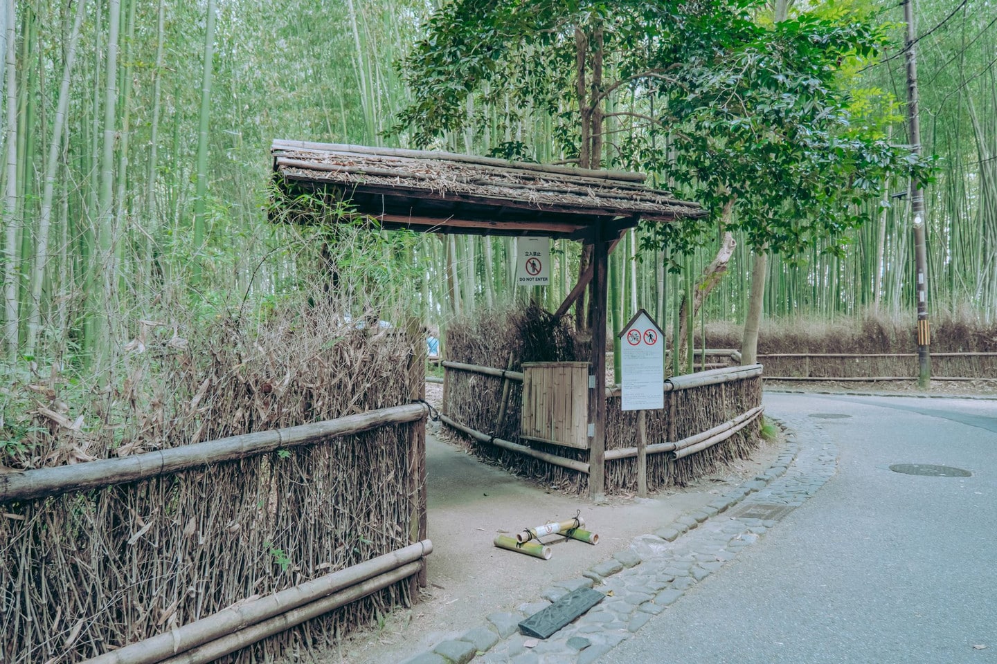 嵐山竹林小徑,是雪景套票行程的重點景點