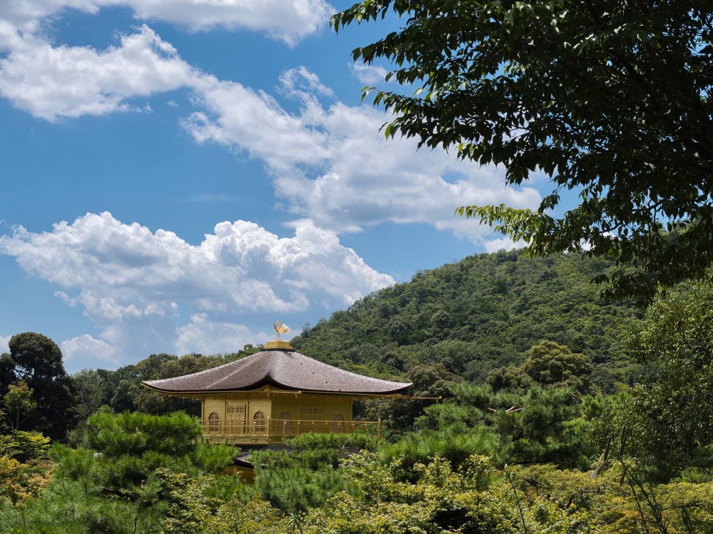 金閣寺,是京都雪地攝影導覽行程的熱門私房景點之一