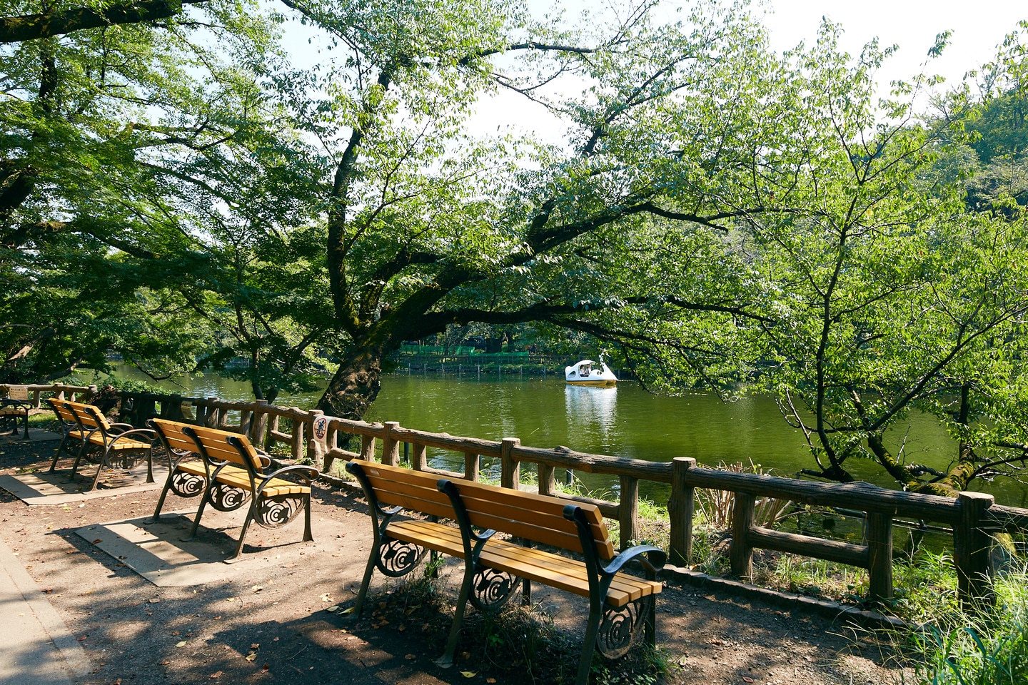 井之頭恩賜公園