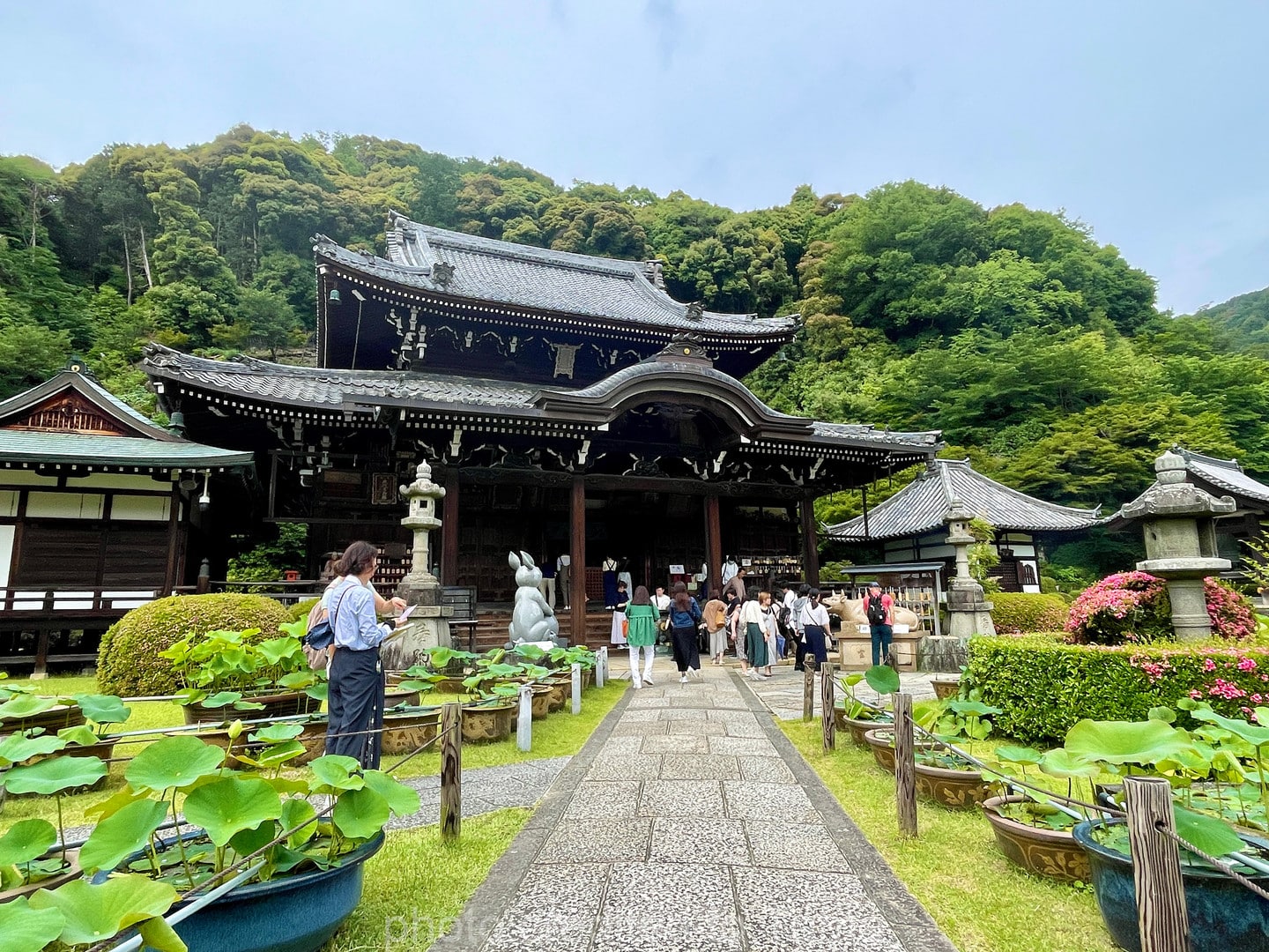 三室戶寺