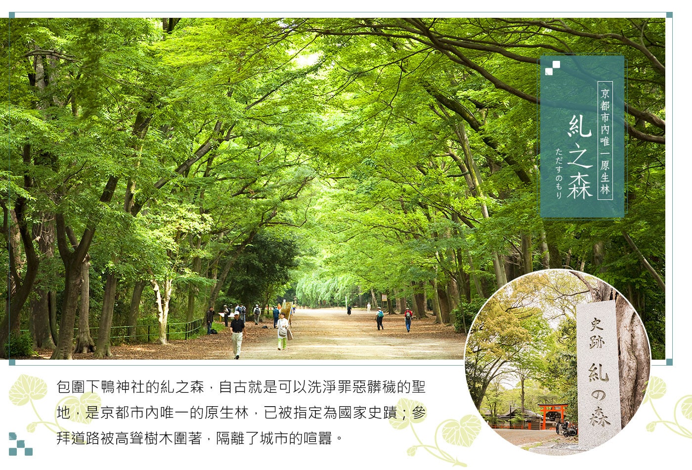糺之森自然散策與導覽體驗