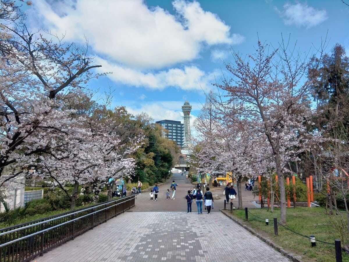 大阪周遊卡（含天王寺動物園、周邊交通與設施折扣）：一票玩轉天王寺美食與景點
