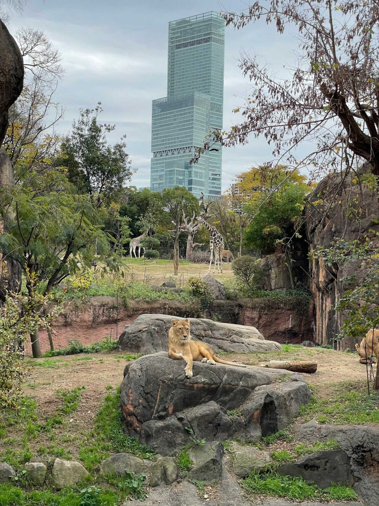 天王寺動物園