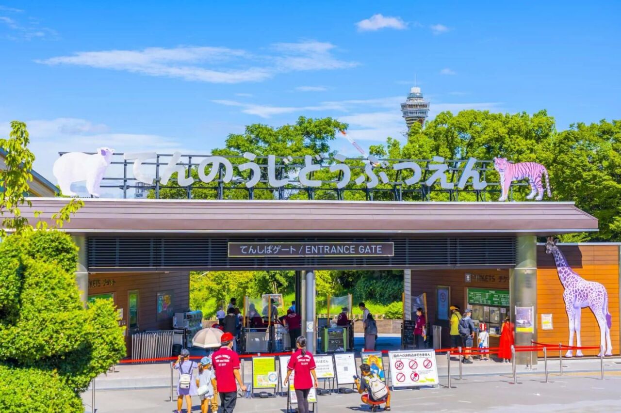 天王寺動物園：親子同遊的都市綠洲