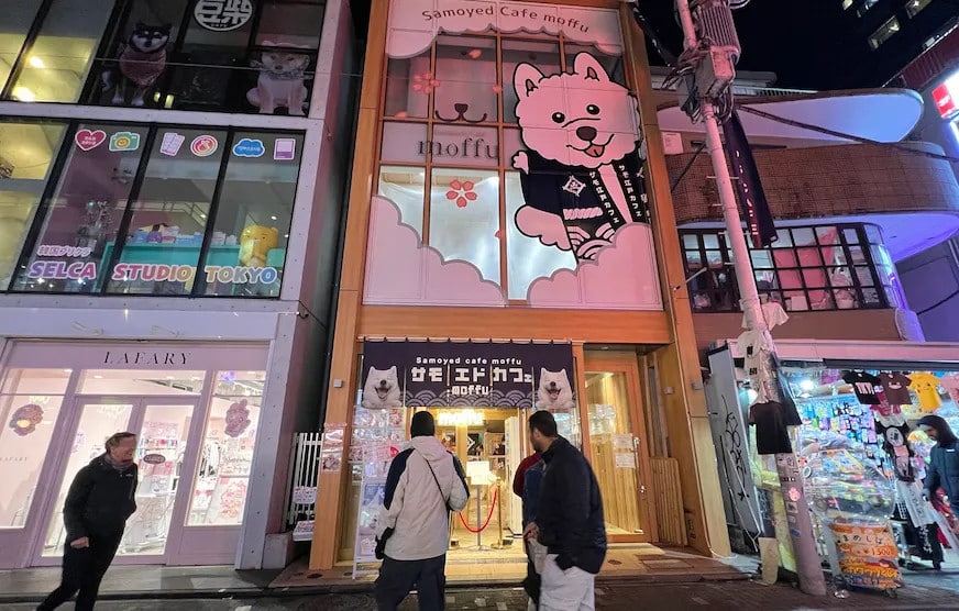 裏原宿散策:小眾選品與職人咖啡的巷弄探索