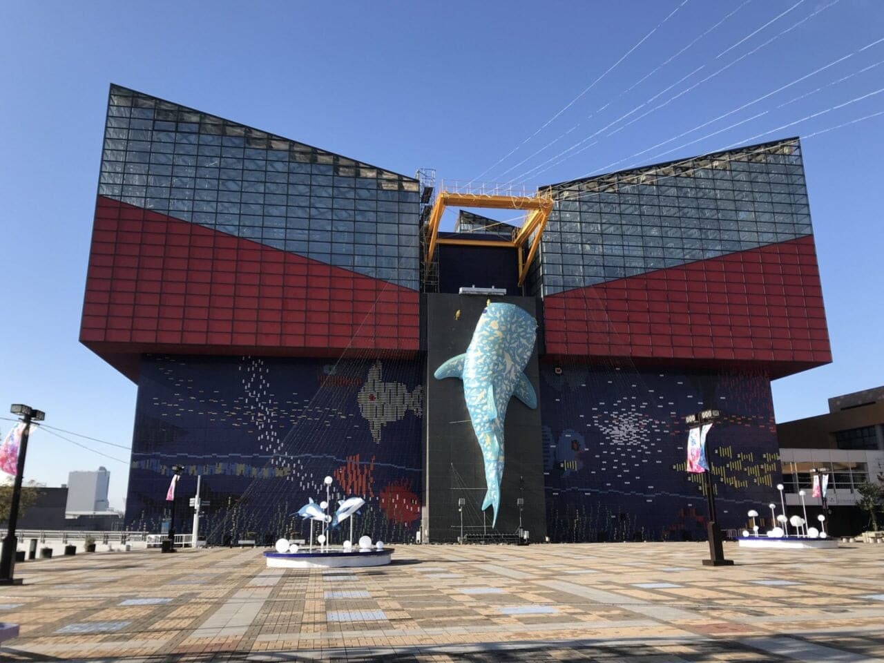 海遊館夜間門票與鯨鯊餵食秀優先觀賞券