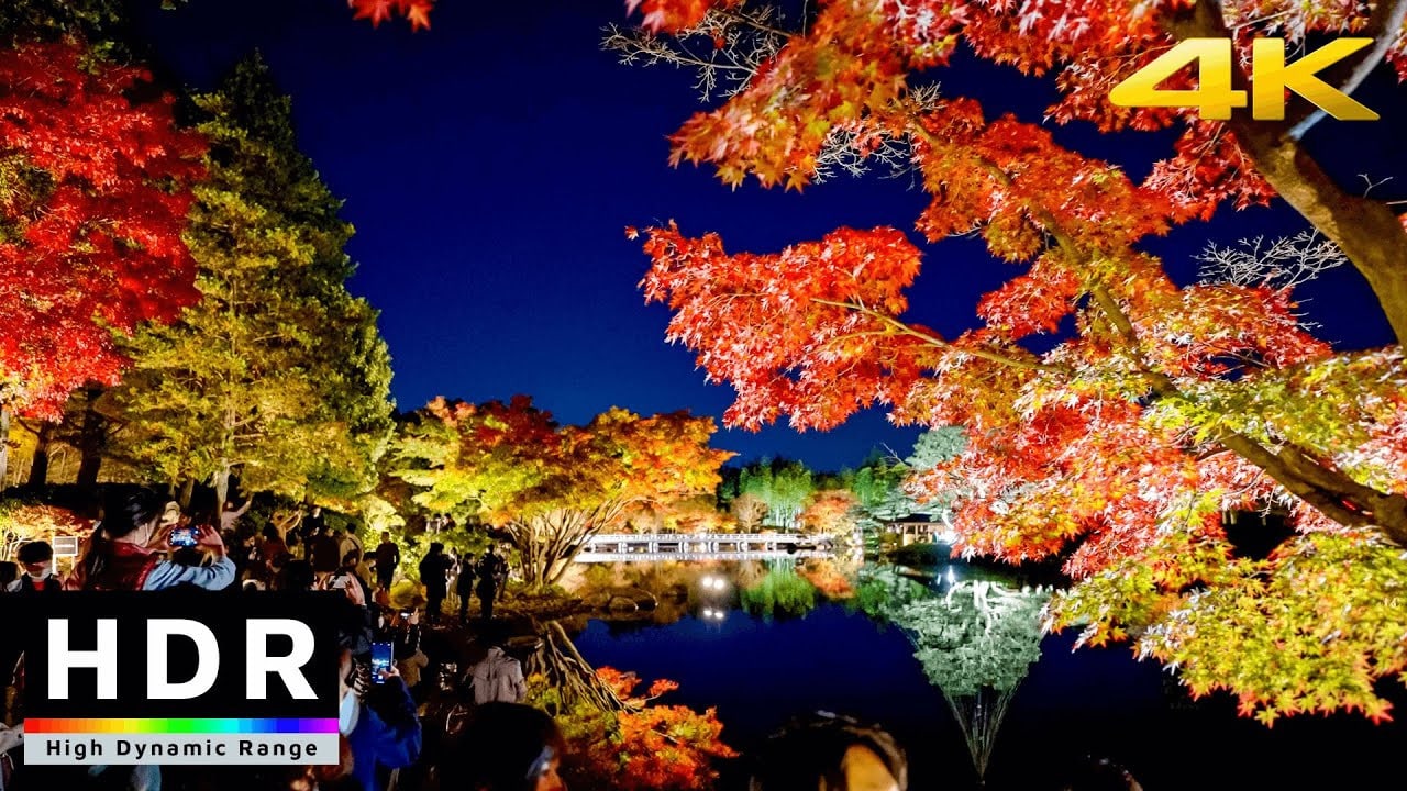 2026立川景點攻略：國營昭和記念公園四季花海與交通完全指南、門票地址一次看