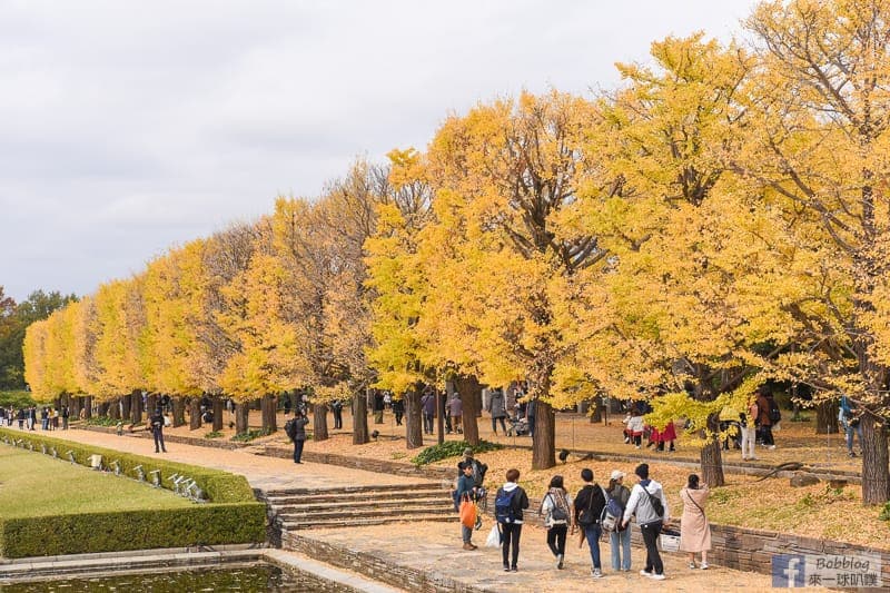 國營昭和記念公園一般入園門票