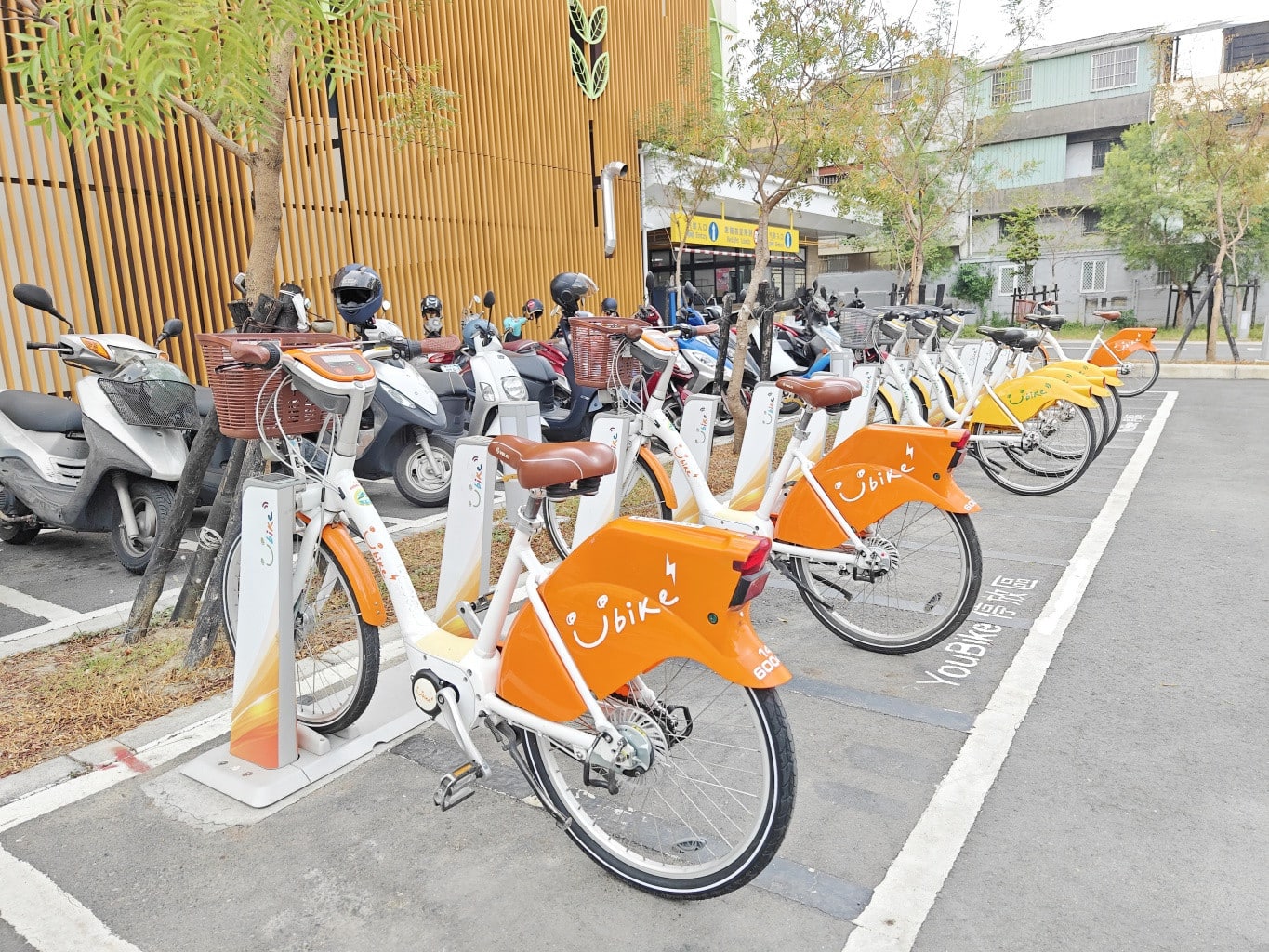 園內電動租借腳踏車與周遊路線