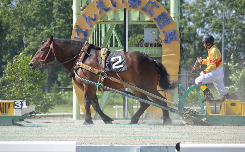 帶廣競馬場輓曳賽馬