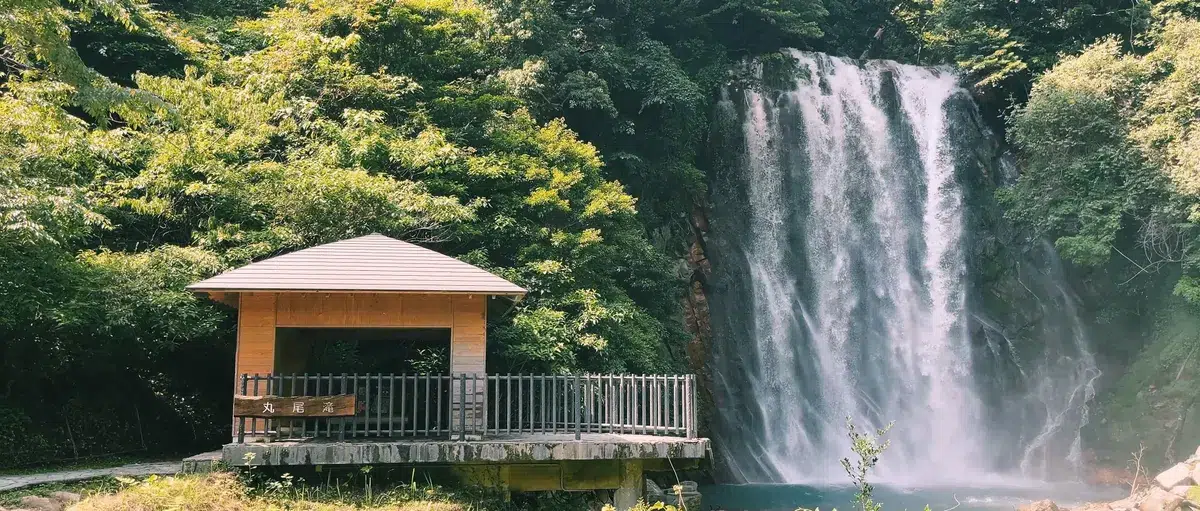 住丸尾還是鹿兒島市區？霧島住宿方向建議