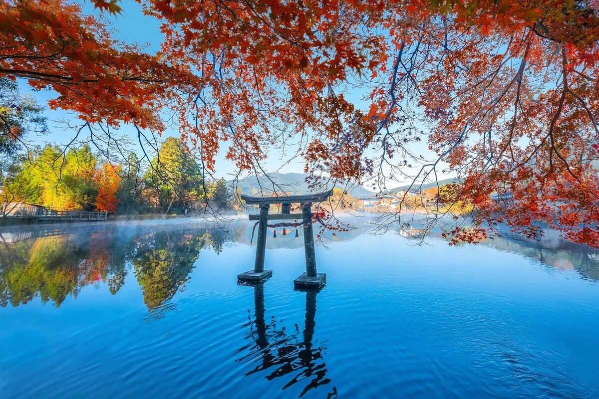金鱗湖