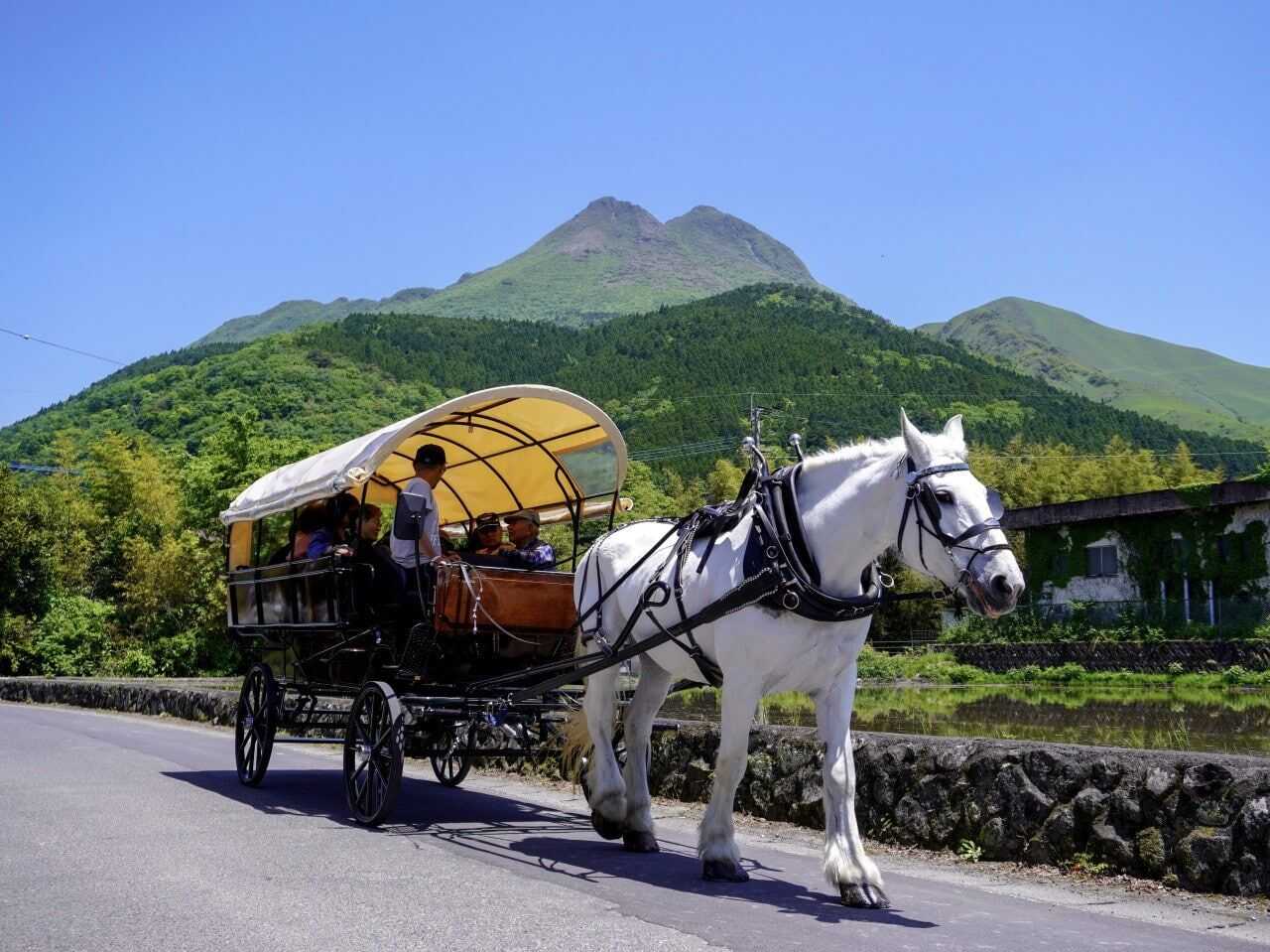 由布院辻馬車