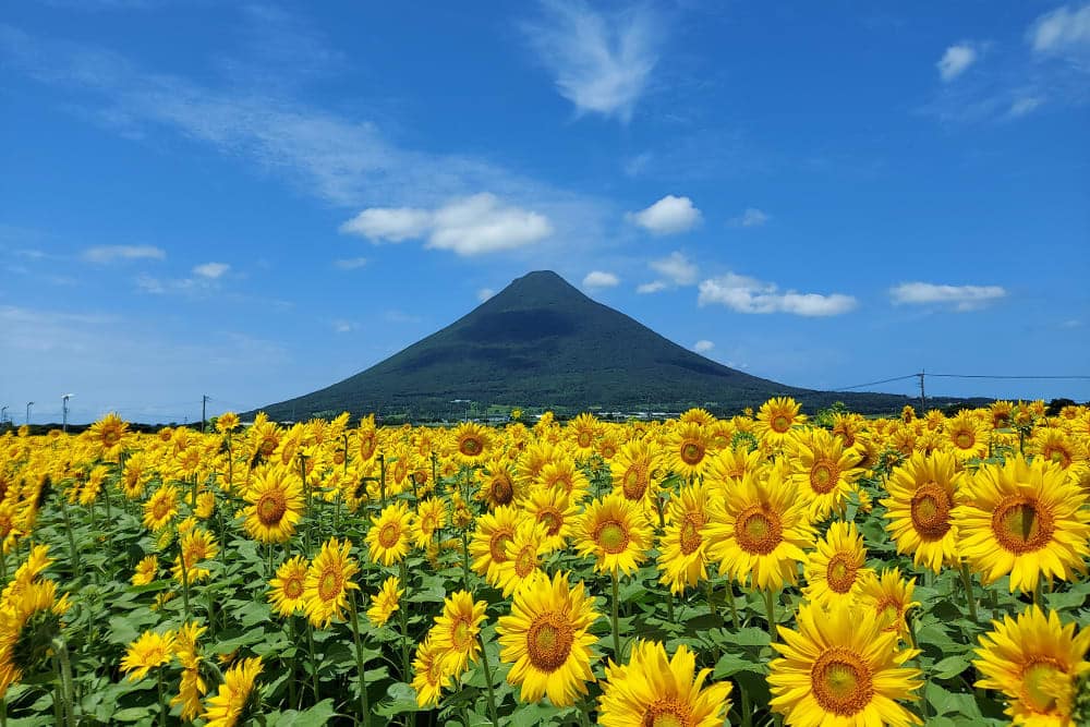 開聞岳