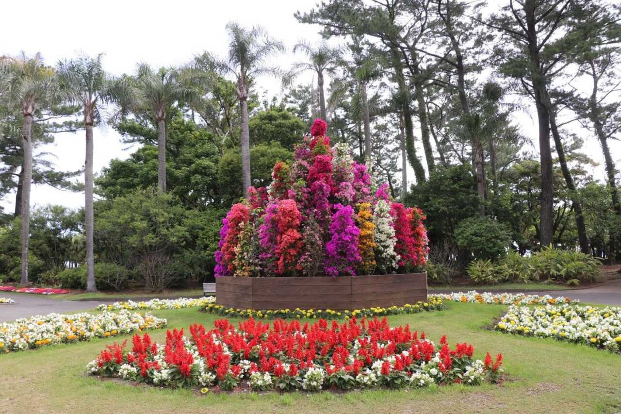 青島亞熱帶植物園