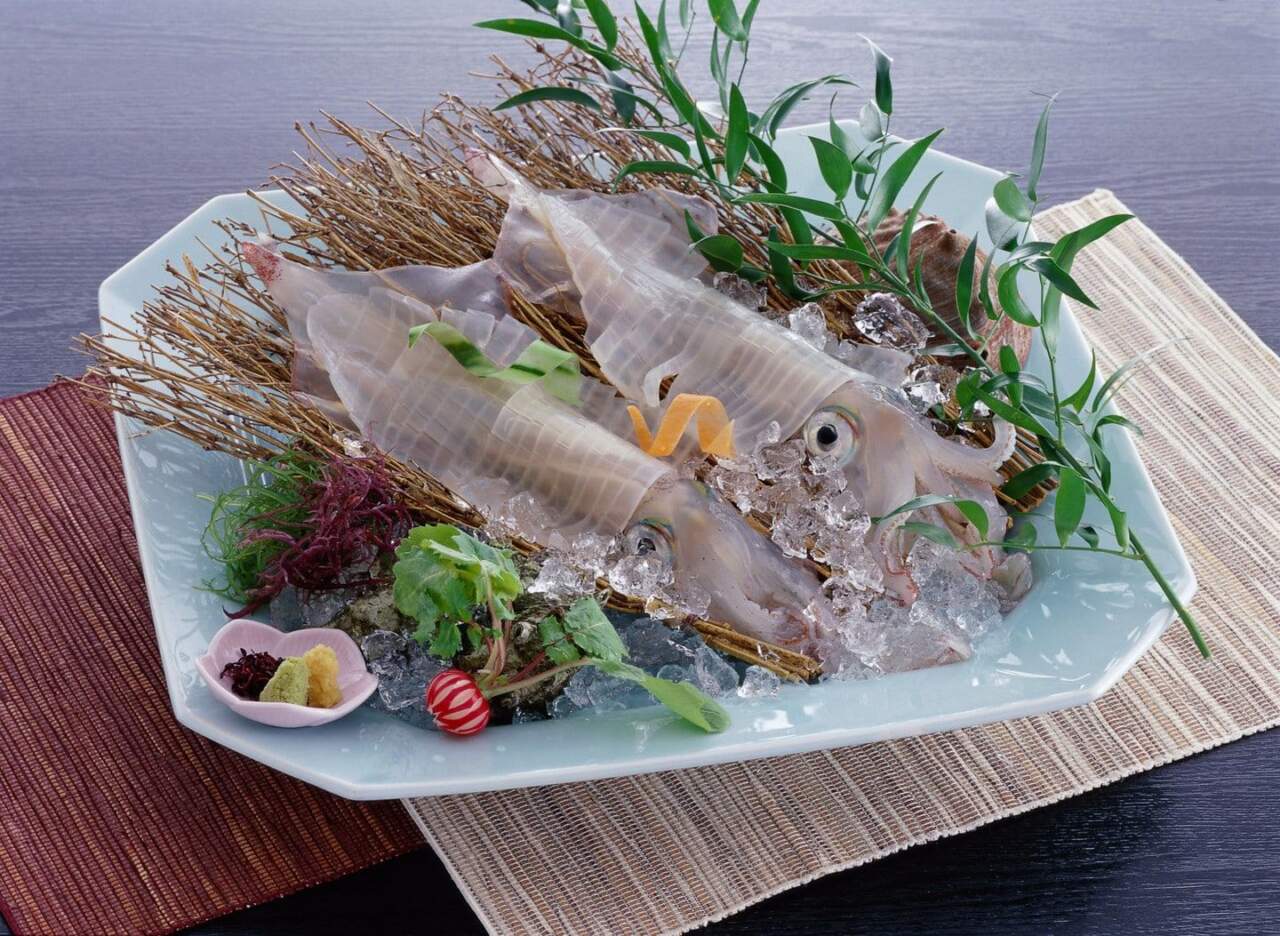 呼子活烏賊