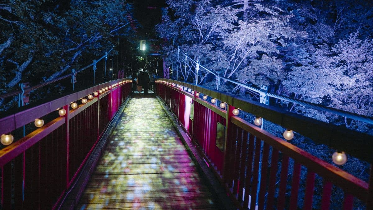 夜間點燈