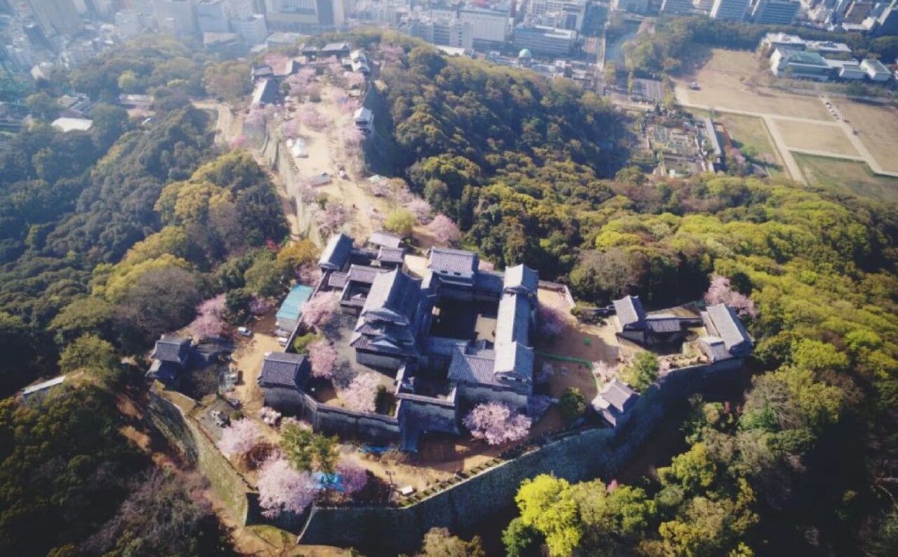 本丸與收費範圍