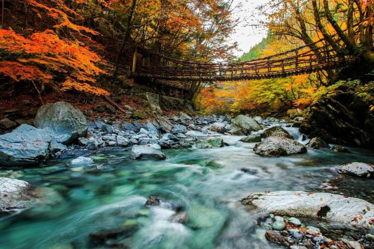 Why the spiritual and secluded Iya Valley should be your next Japanese  getaway | National Geographic