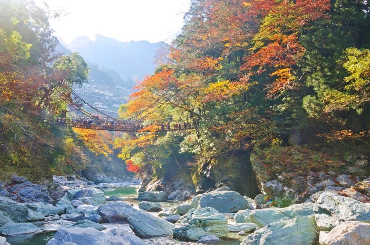 溪谷的展望路段