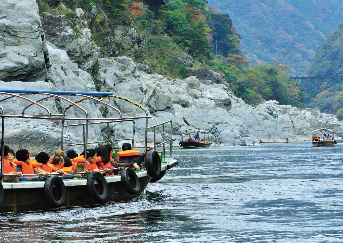 峽谷的觀光遊船
