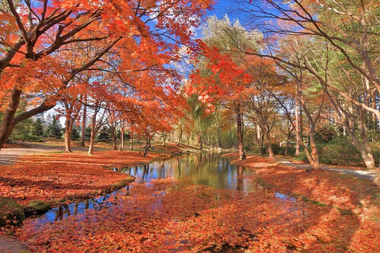 真鍋庭園