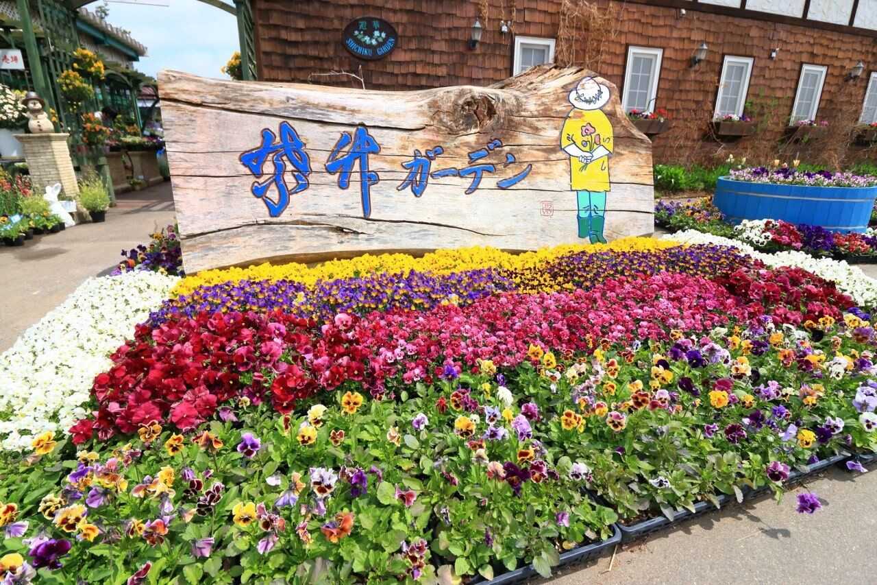 紫竹花園