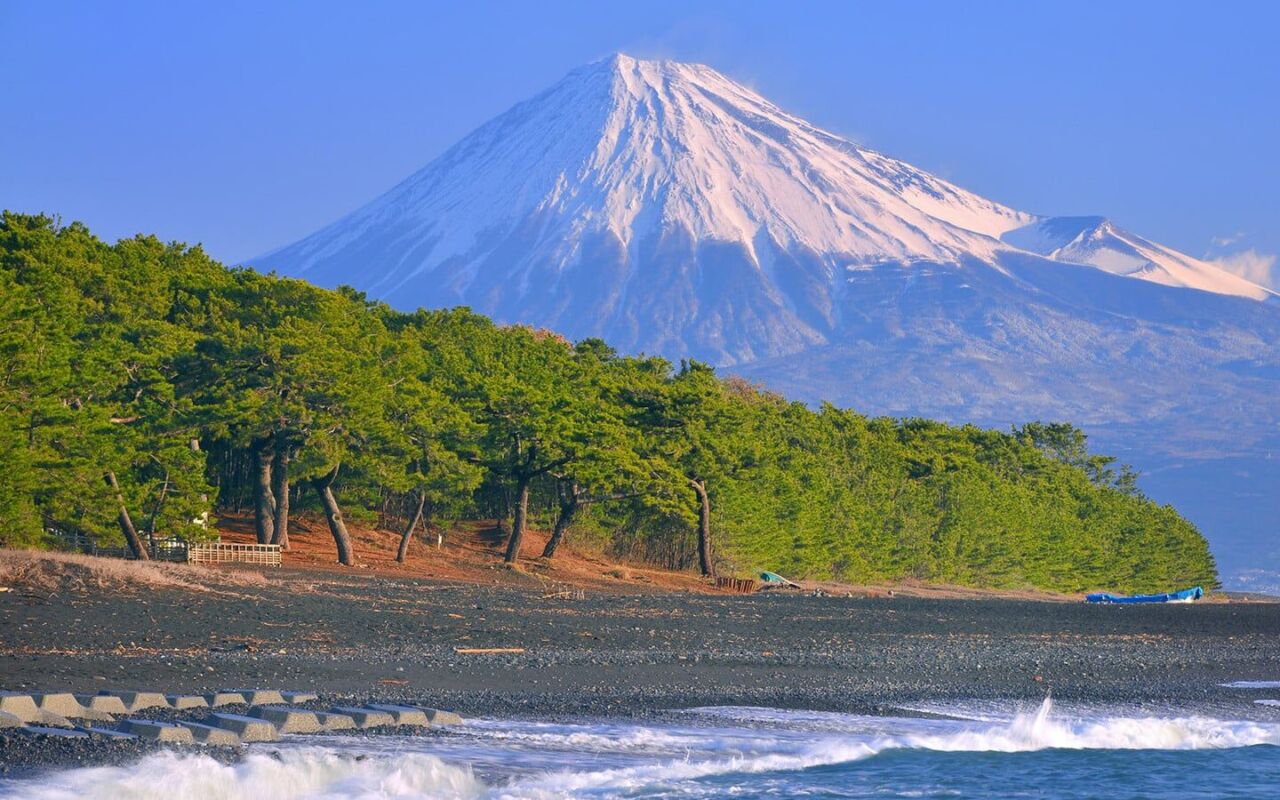 沙灘與松林步道