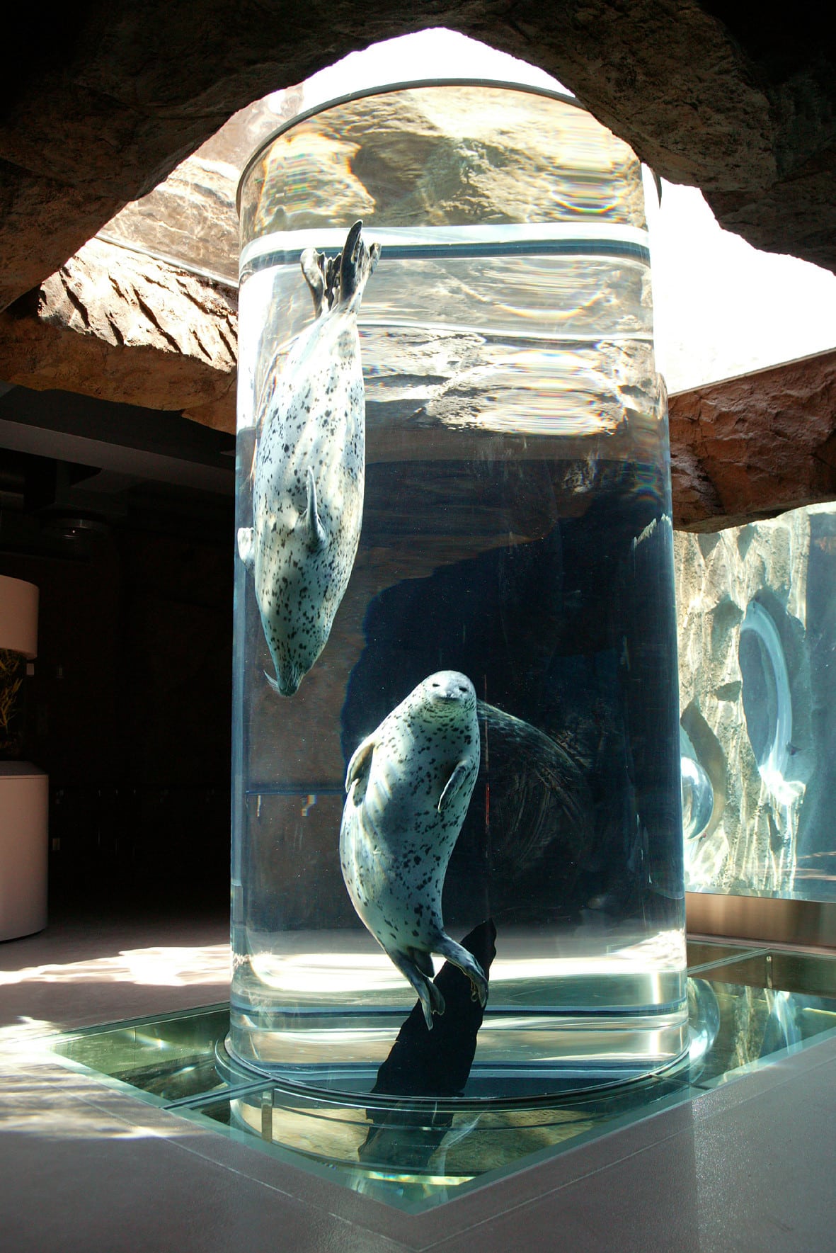 海豹館