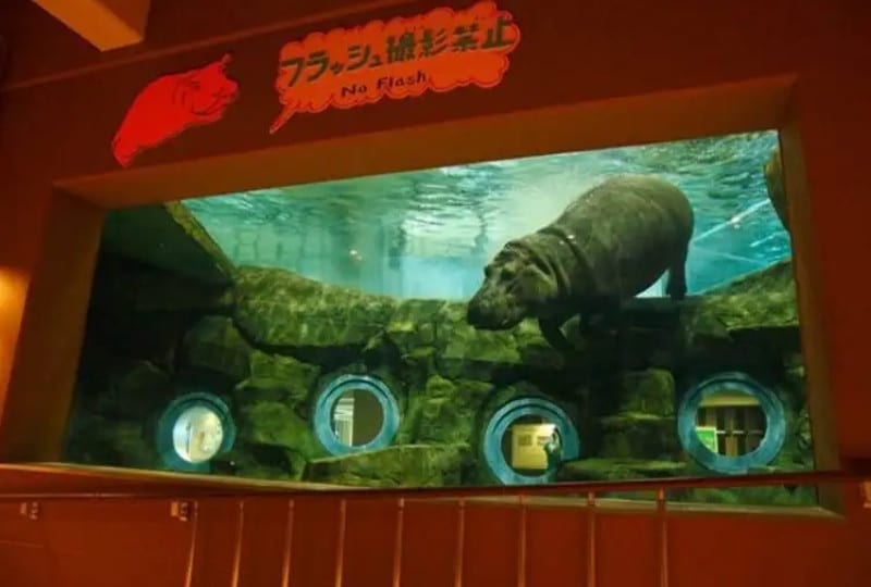 河馬館