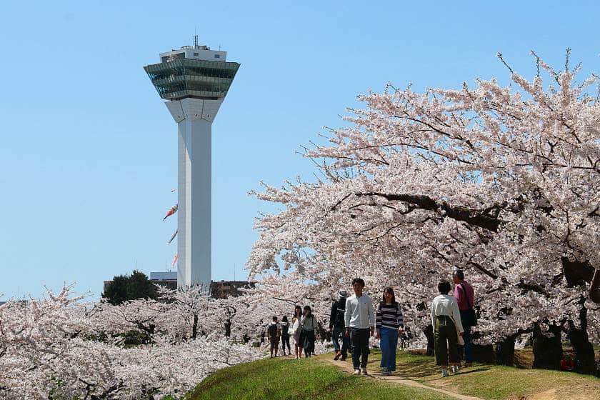 五稜郭公園四季看點