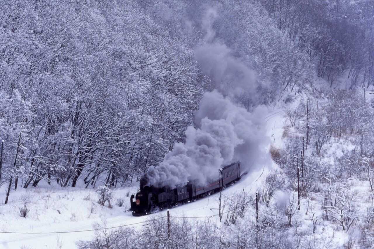季節限定觀光列車