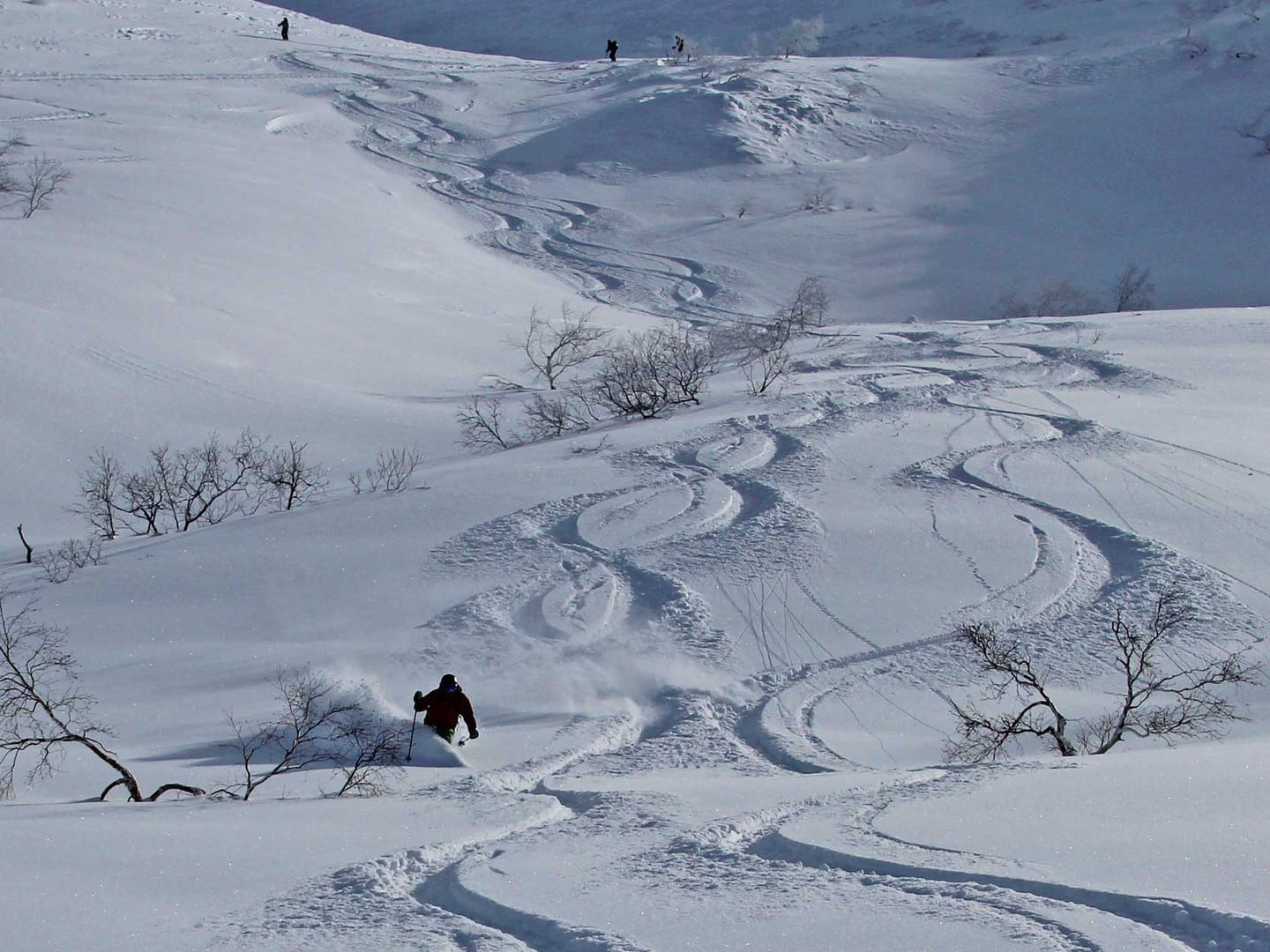 旭岳滑雪野雪地形