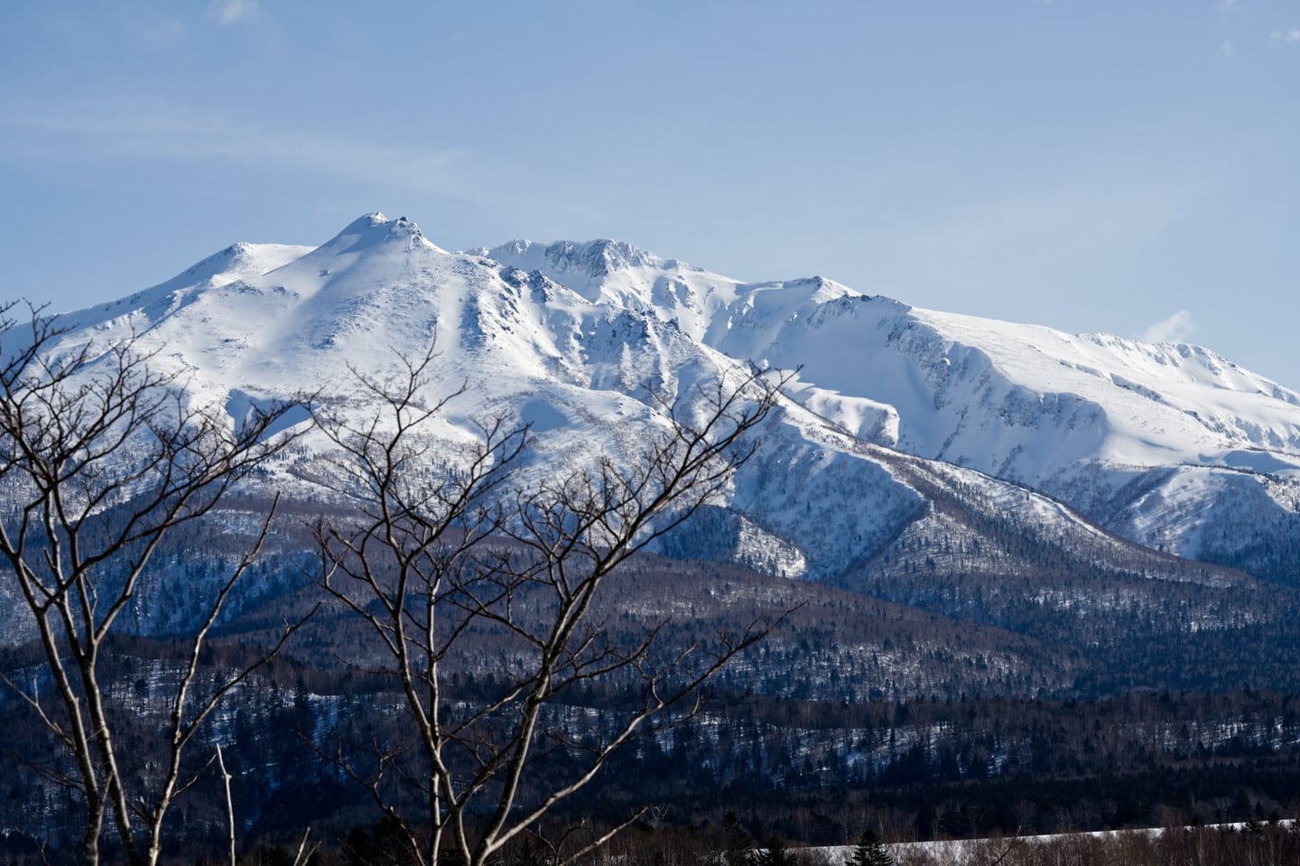 大雪山國立公園