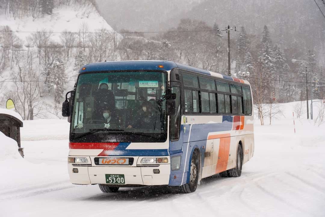 札幌市區直行滑雪巴士