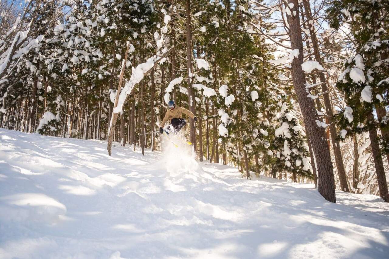 樹林與非壓雪地形
