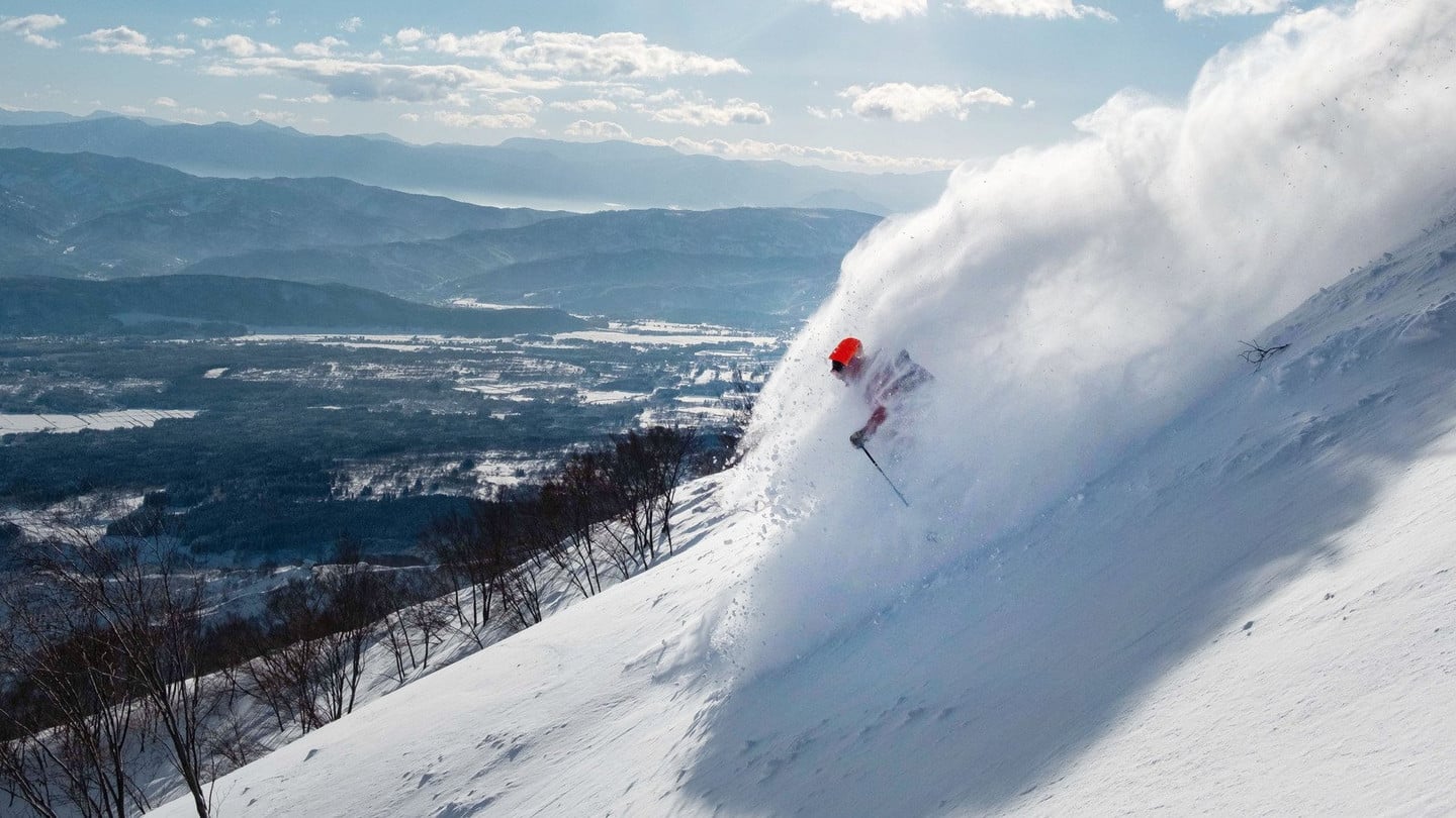未壓雪樹林區