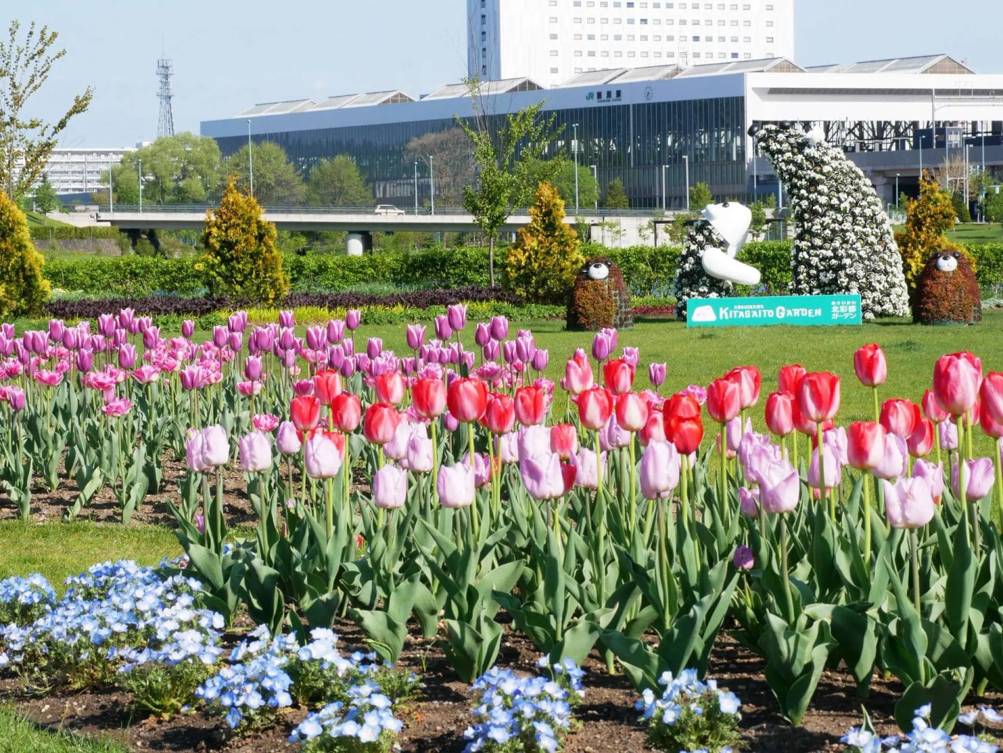 AUNE廣場