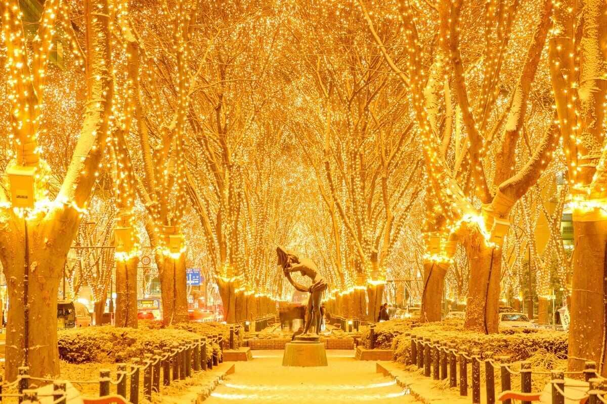 定禪寺通