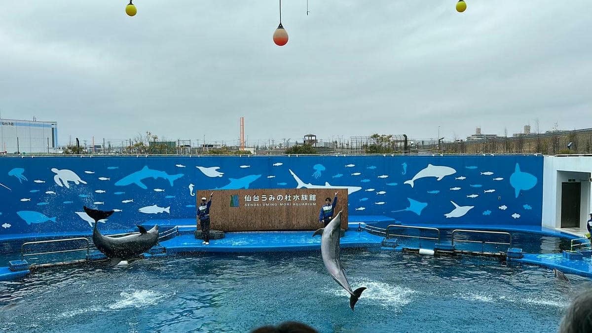 仙台海洋森林水族館
