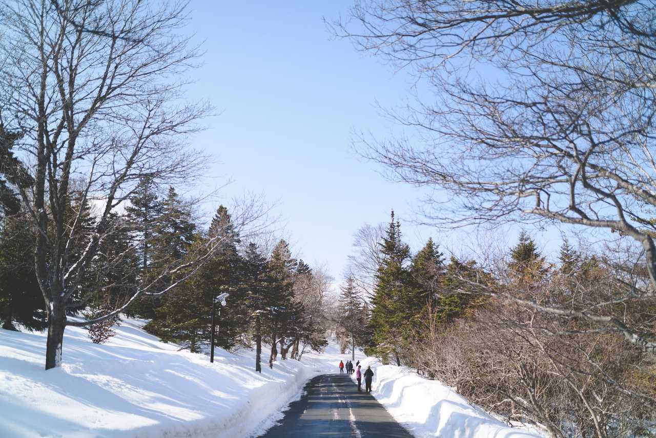什麼時候來最好:雪量、人潮與價格的取捨